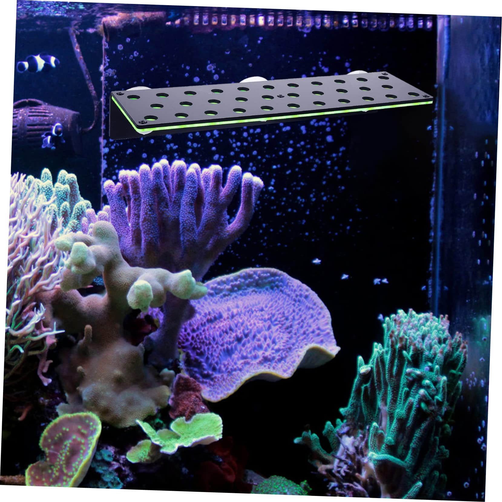 Grünes Acryl Ablegergestell mit 32 Löchern, Doppellagig für Korallen | Aquarienzubehör, zur Zucht Lebender Korallen und Dekoration, Leicht zu Reinigen