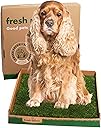 Fresh Patch Real Grass Patch for Dogs, Cats, and Large Pets 15-30 Pounds – Disposable Pet Grass Pee Pads – Indoor and Outdoor Potty Training Mat (24 Inches x 24 Inches)
