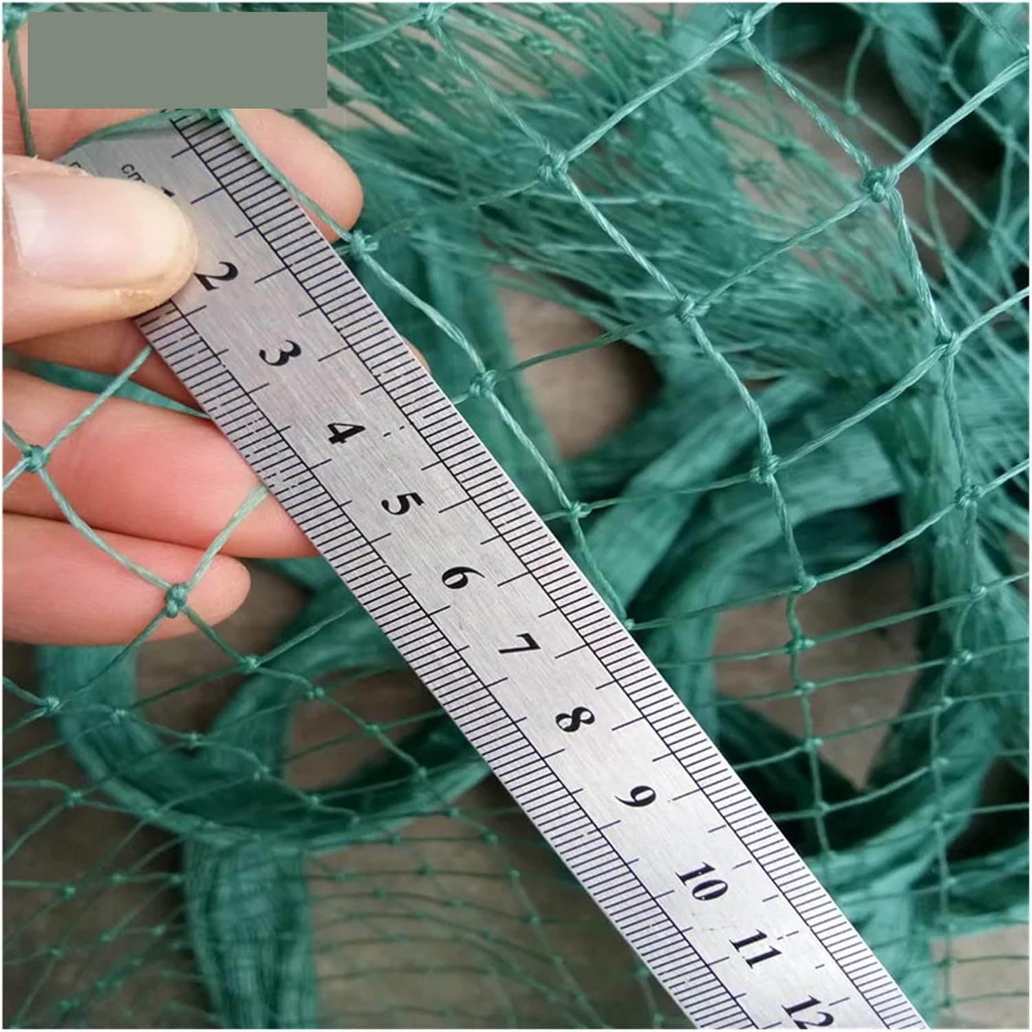 10m 50m Agricultural Protection Net Gardening Net Garden Fence Bird Net Breeding Climbing Rattan Net Chicken Cat Net(6-Strands Mesh 2CM,2m x 5m)