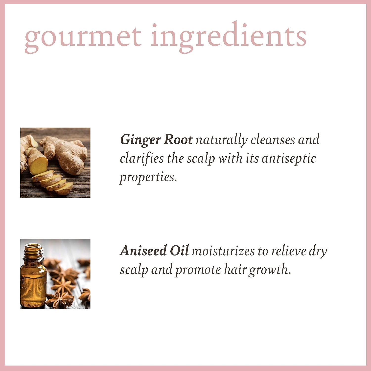 Camille Rose Sweet Ginger Hair Cleansing Rinse Shampoo for All Hair Types Castor and Aniseed Oil, 355 ml (Pack of 1) - Image 4