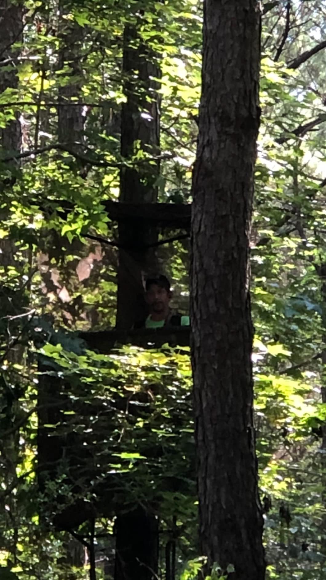 8/mo Finance Guide Gear Tree Stand Umbrella, Hunting Accessories for