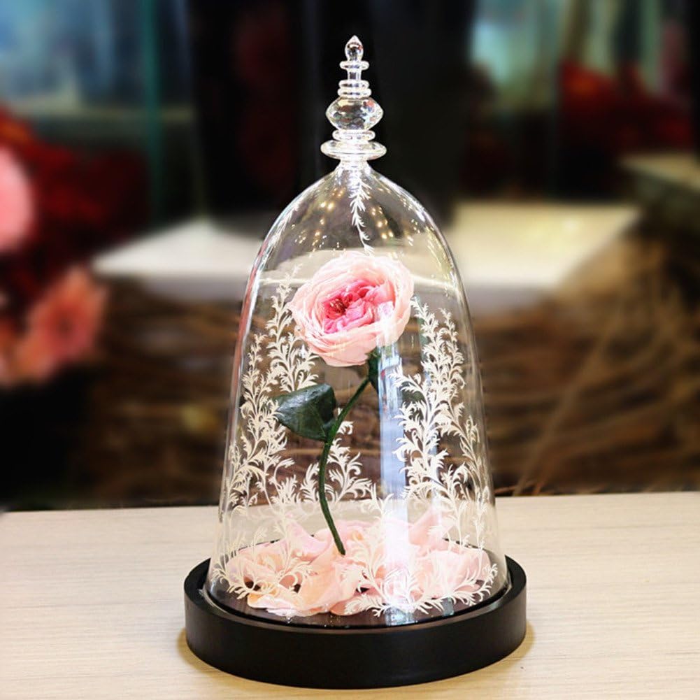 Only rose Rosa eterna,Flores La Belleza y la Bestia Ornamentos de Cristal Luz Día de la Navidad Cumpleaños Decoración Envía a su Amiga-T 16x28cm(6x11inch)