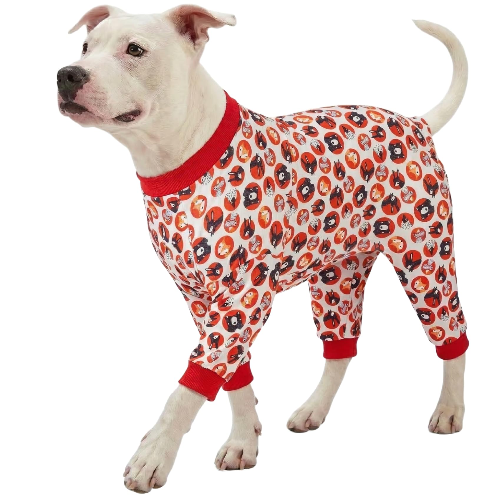 Pyjama pour chiens Pitbull confortable pour des nuits douillettes et des moments cocooning