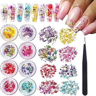 SUTOZMIWE 8 Boxs Dried Gypsophila Flowers Nail Art Decoration Mixed Mini Hydrangea Floral Petals Charms Plant Jewelry Accessories for DIY Crafting Nail Design Supplies (Multi-Color)