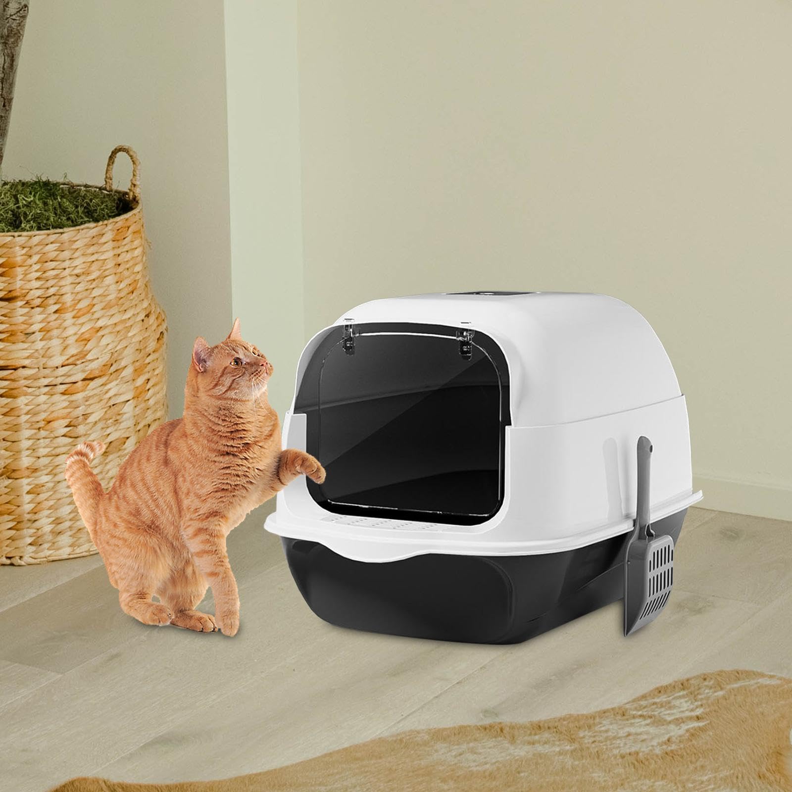 Katzenklo Vollständig Geschlossene Katzentoilette mit Deckel Katzenstreu Schale Haube Leichtes Pp-Material Abnehmbar für Katzenbesitzer Wohnung, Schwarz