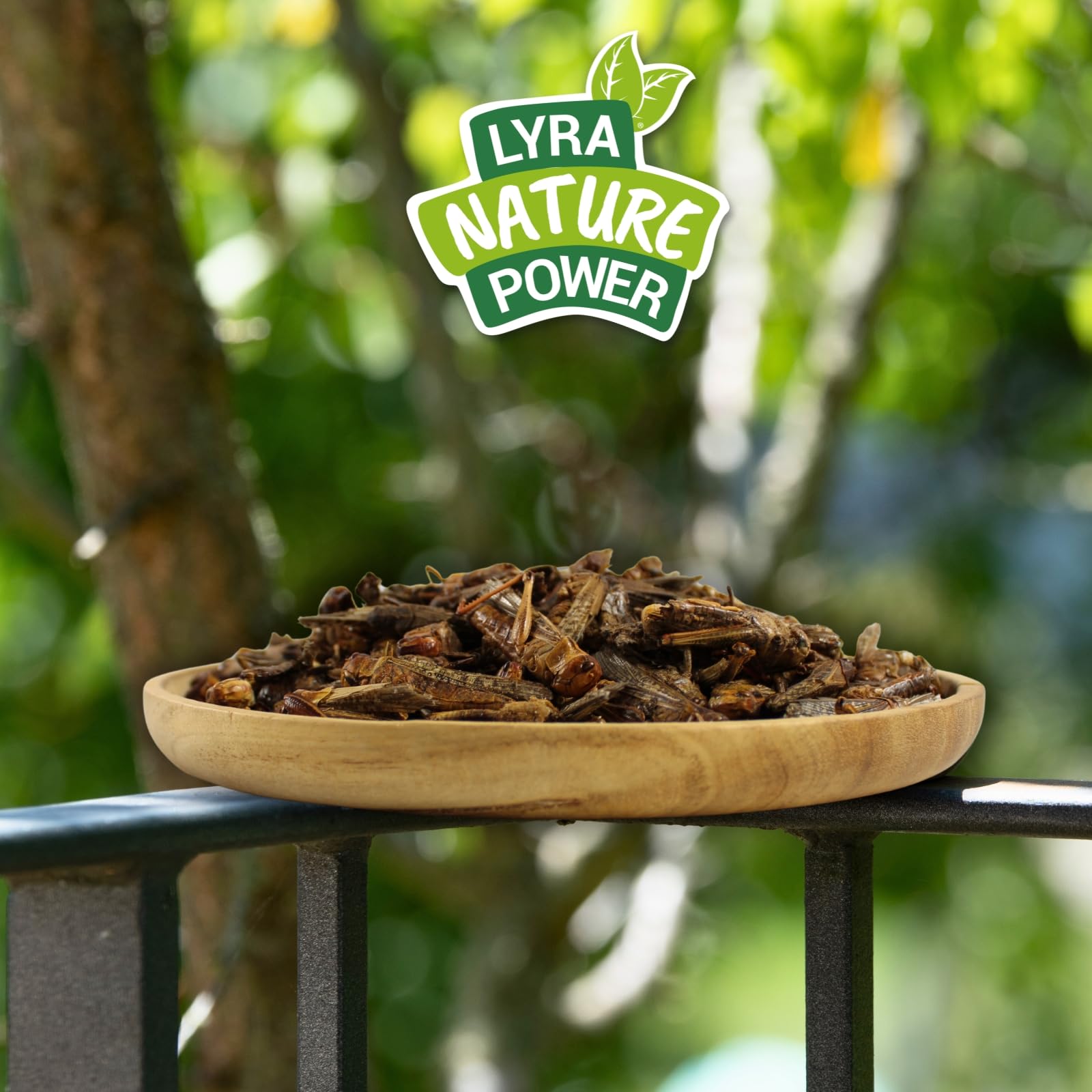 Lyra Pet® 5 kg Heuschrecken getrocknet Vogelfutter Wildvögel Nager | Reich an Proteinen & Mineralien - Schonend getrocknetes Vogefutter - Ideal als Ergänzung - Natürliches Futter