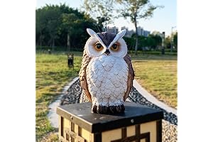 Enthralling Owl Figurines for Home and Garden Decor (8.3 Inch)