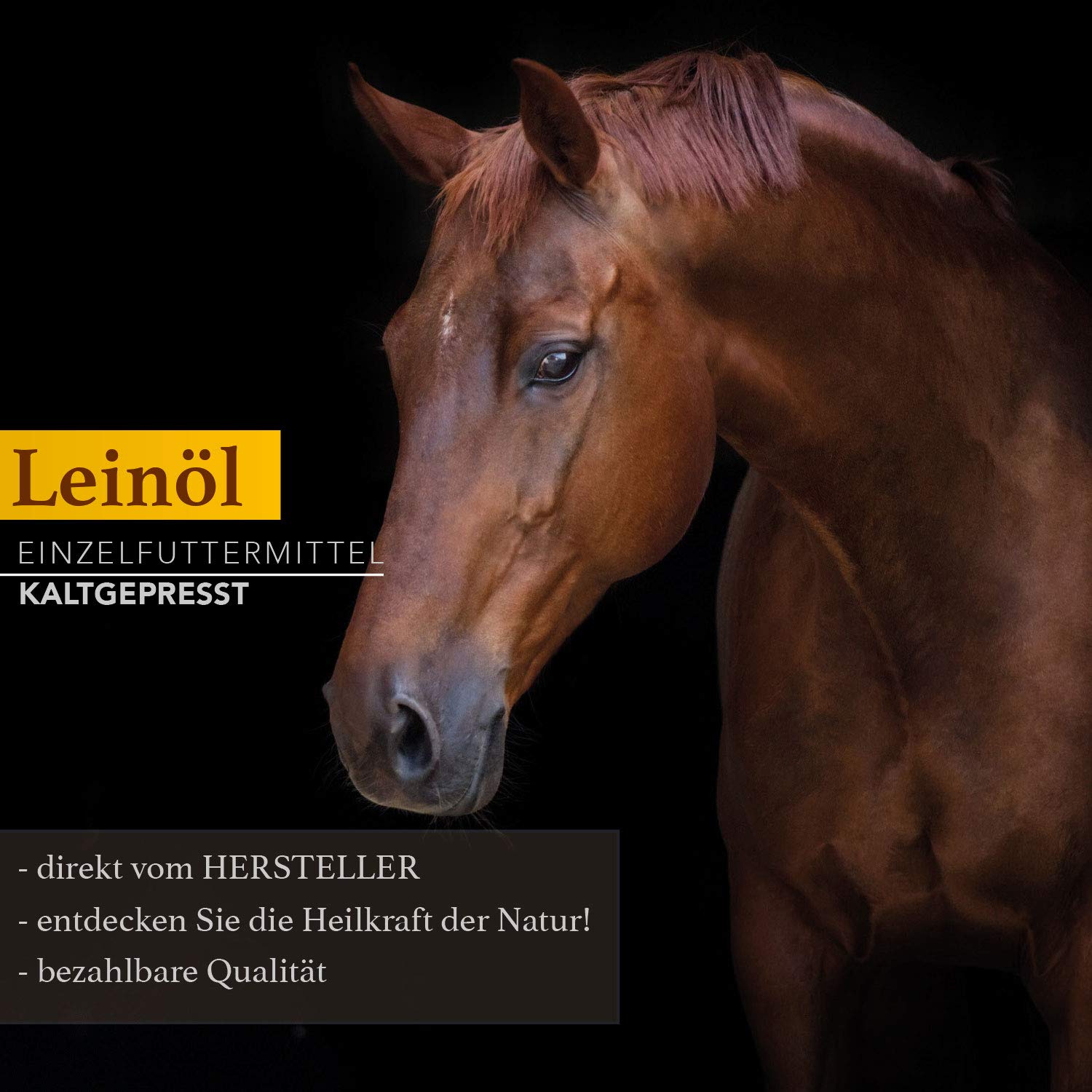 Naturzade Leinöl 10 Liter Premium Qualität 100% rein, kaltgepresst für Pferde & Hunde