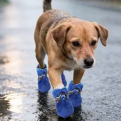Sapatos para cães pequenos – Botas antiderrapantes respiráveis para animais de estimação, bichon frise, pacote com 4 protetores de patas para cães de primavera e inverno (azul, M)