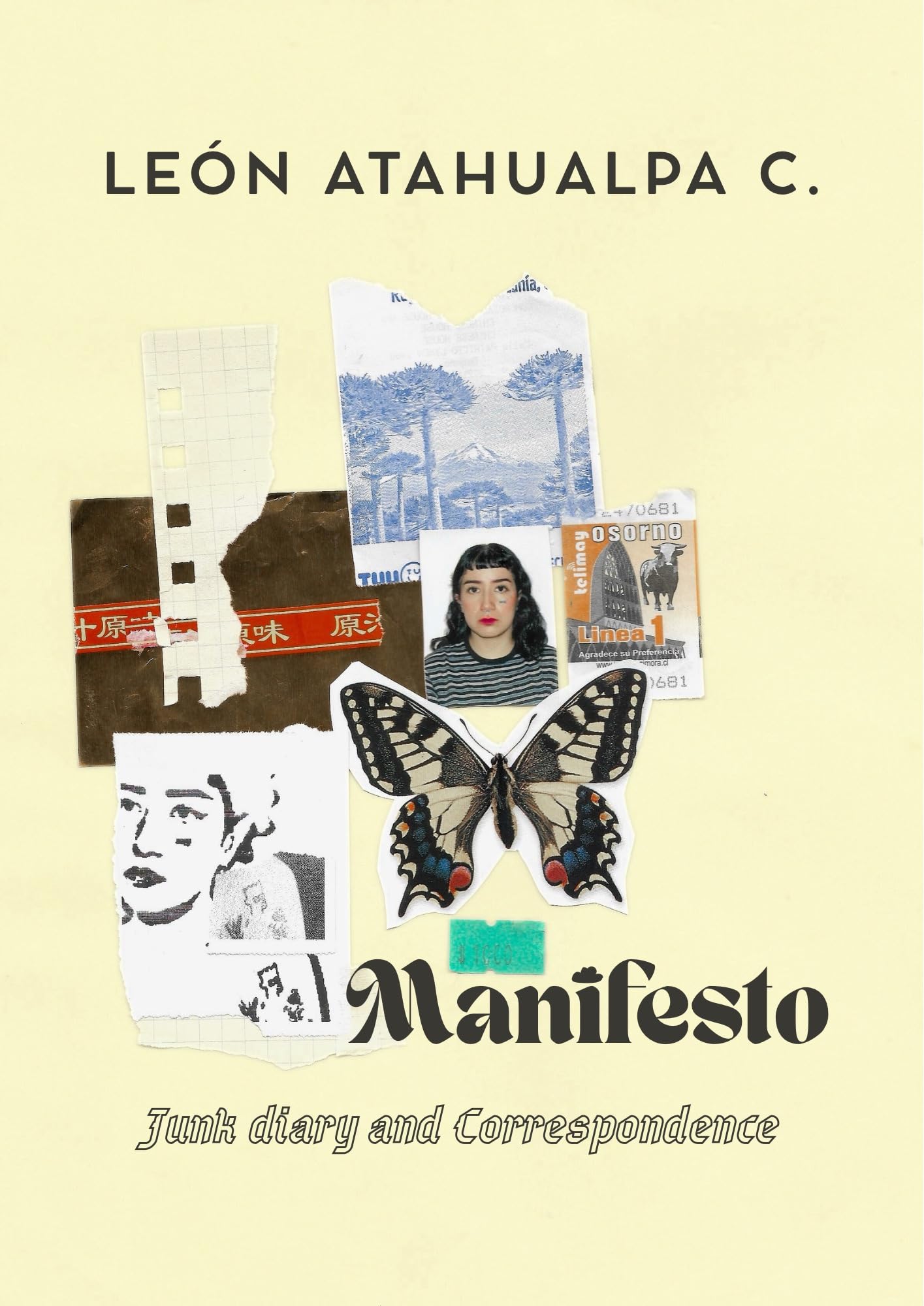 Manifesto Junk Diary livre en anglais format correspondance originale