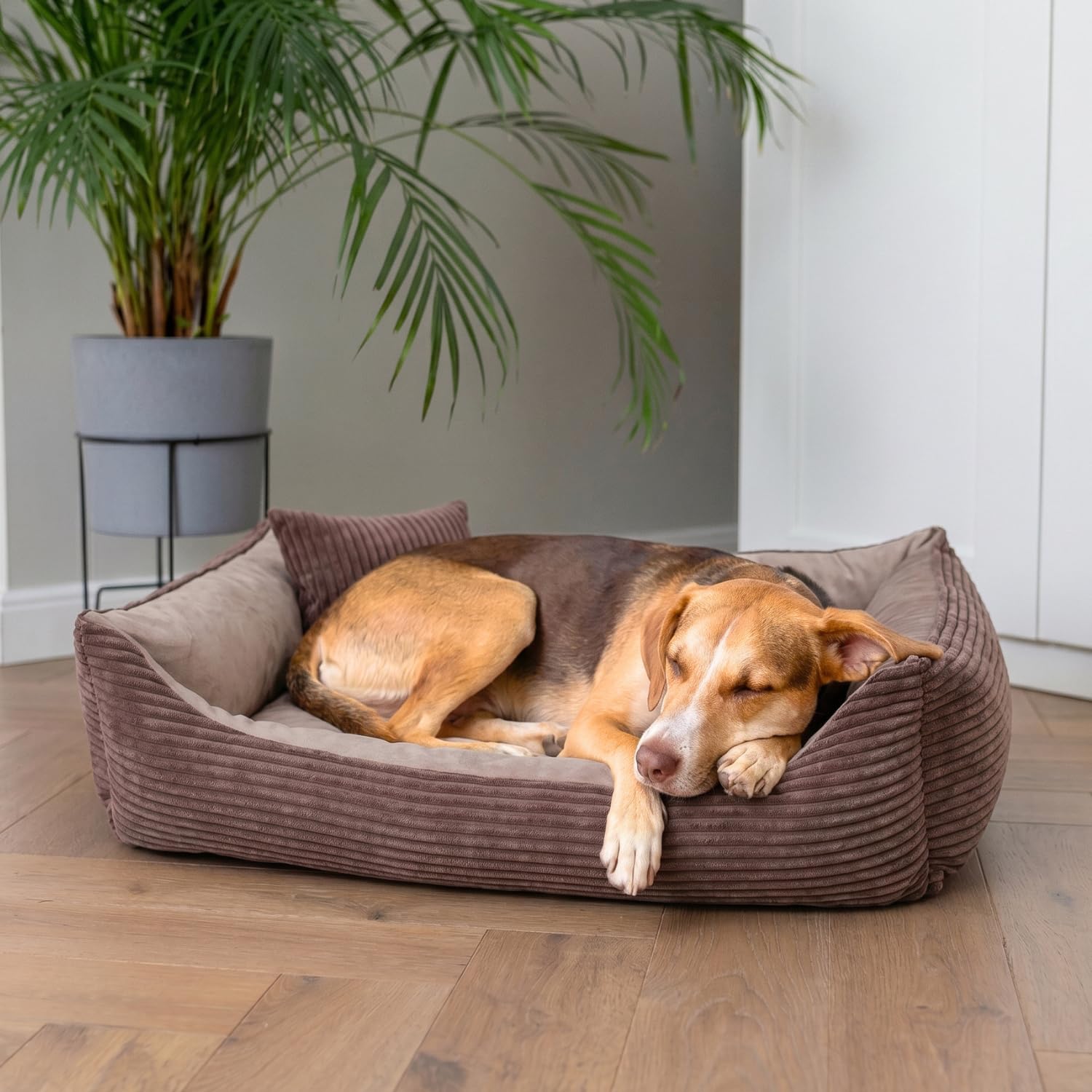 4L Textil Otto Acogedora Cama para Perro Funda Desenfundable y Lavable Cesta para Perro Cojín para Perro Mediano Esponjosa Cesta para Perro Sofá para Perro (100x80 cm, Stripes 06)