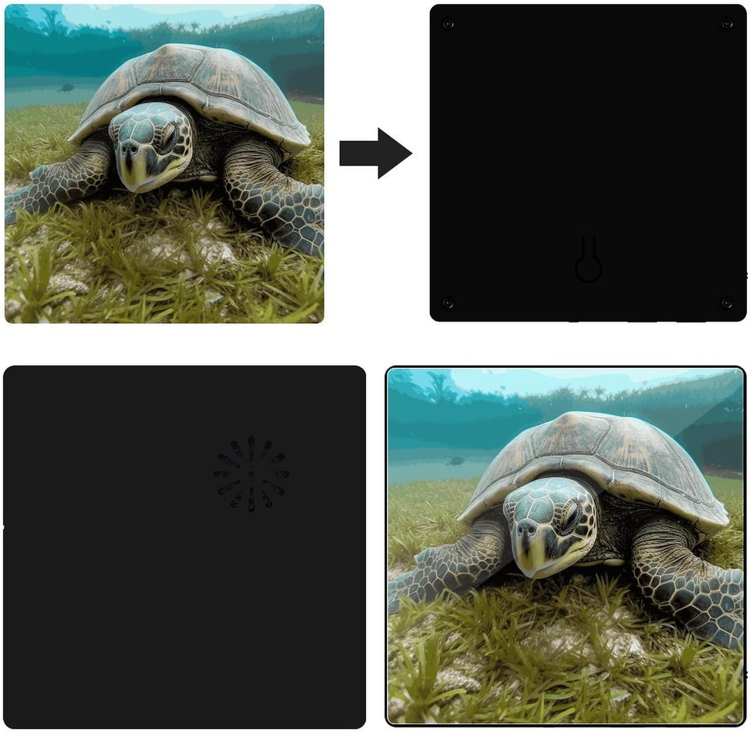 Big Tortoise Music Refrigerator Sticker image 3