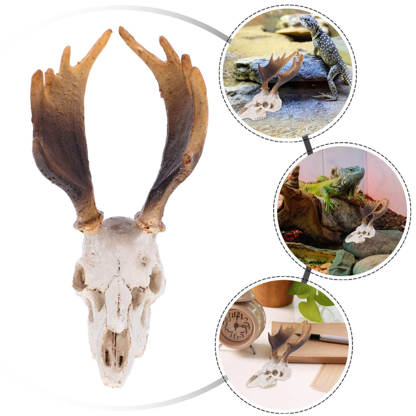 BESPORTBLE 3pezzi Decorazione Per Terrario Skulll Per Rettili Nascondiglio Lifelike Per Habitat Rettili e Accessorio Per Tartarughe e Gechi