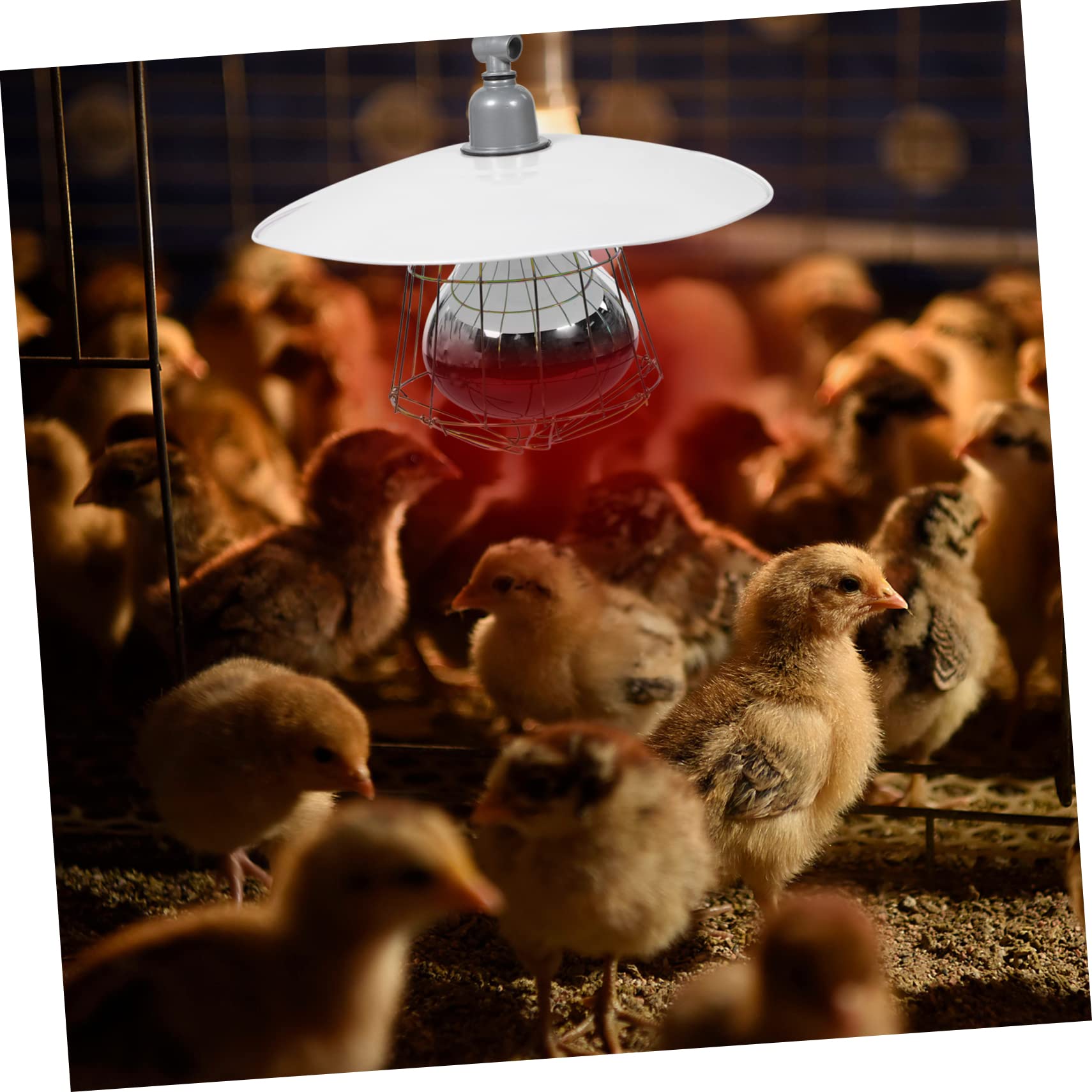 Wärmelampe Anti Verformung und Schutz vor Verbrennungen mit Metall und Aluminiumgehäuse für Nutztiere Zufällige Farbe Geeignet für Haustierkäfige und Kleine Schweineställe