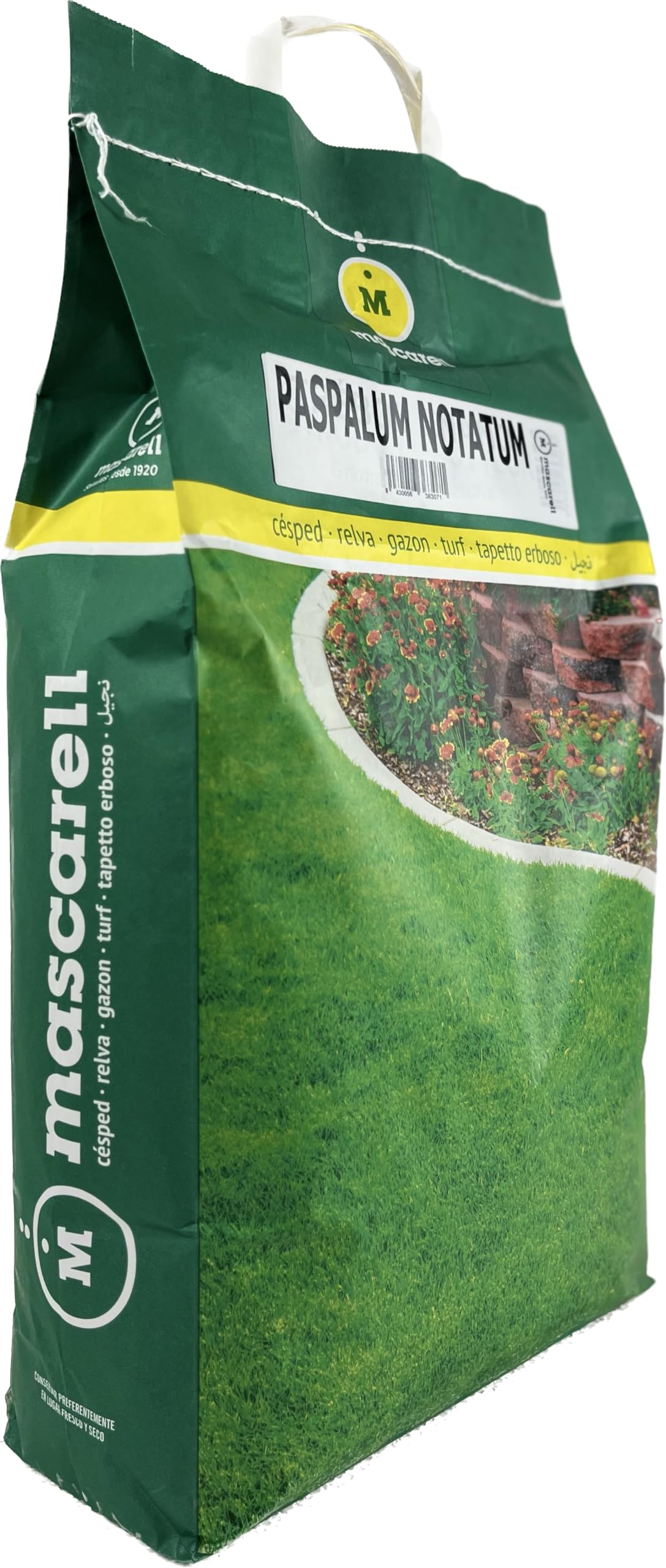 Mascarell Semillas, PASPALUM NOTATUM, Semillas de Césped, Verde y Duradero, Compacto y Resistente, 5 KG