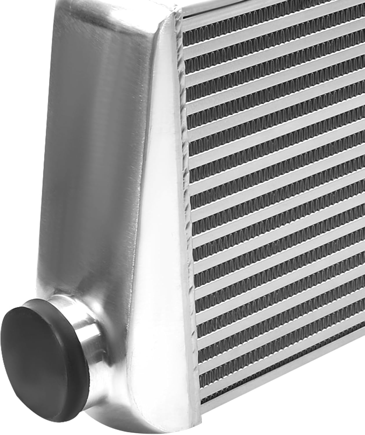 売約済】ガーゾン&アマデウスSQ