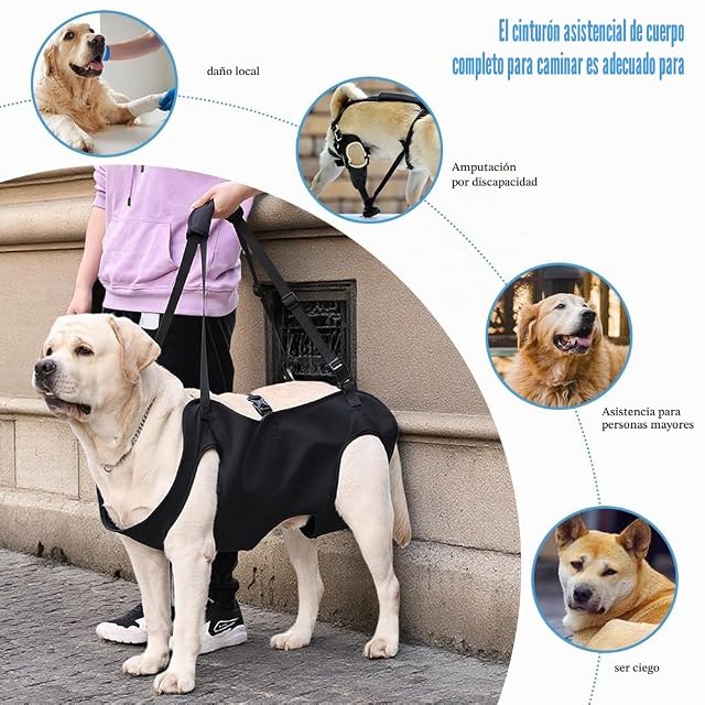 Foto 5 de 7 de XFSRG Arnes Perro Patas Traseras Cinturón Auxiliar Transpirables Acolchadas Ajustables para Perros Ancianos…