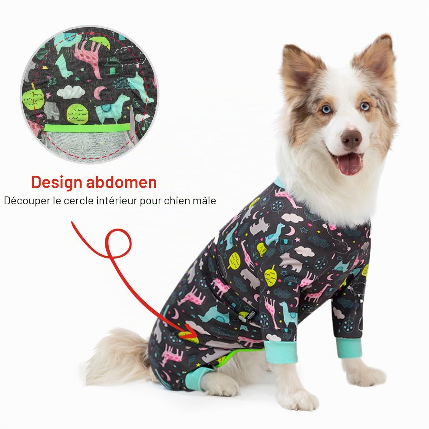 Ensemble de Récupération Post Chirurgicale pour Chien, Combinaison Pyjama pour Chien Corps Entier Grande Taille Moyenne Chien Récupération Ensemble Chirurgical Anti Léchage