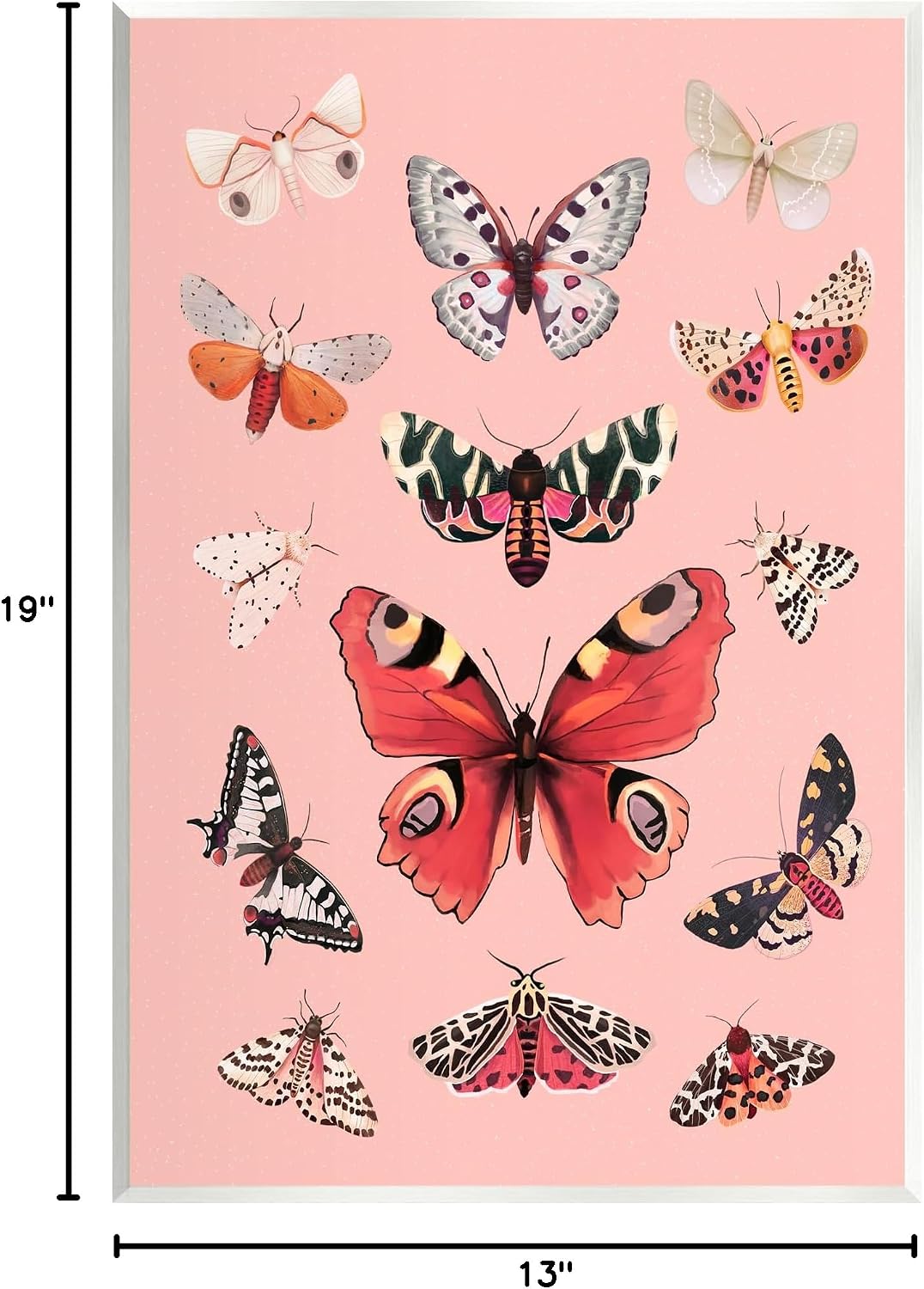 Stupell Industries Various Moths on Pink Wall Plaque Art by Diane Neukirch