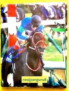 宝塚記念　ジャンボバスタオル　JRA ウマ娘 宝塚記念 ジャンボバスタオル JRA ウマ娘 タイトルホルダー 引退