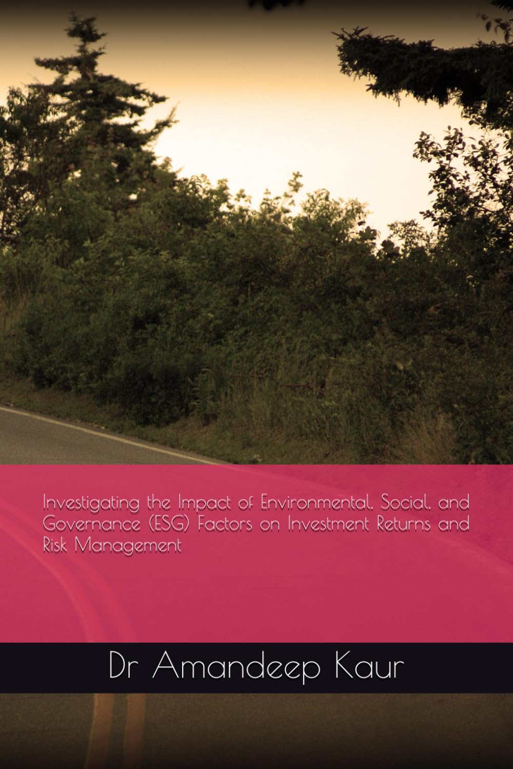 Investigating the Impact of Environmental, Social, and Governance (ESG) Factors on Investment Returns and Risk Management