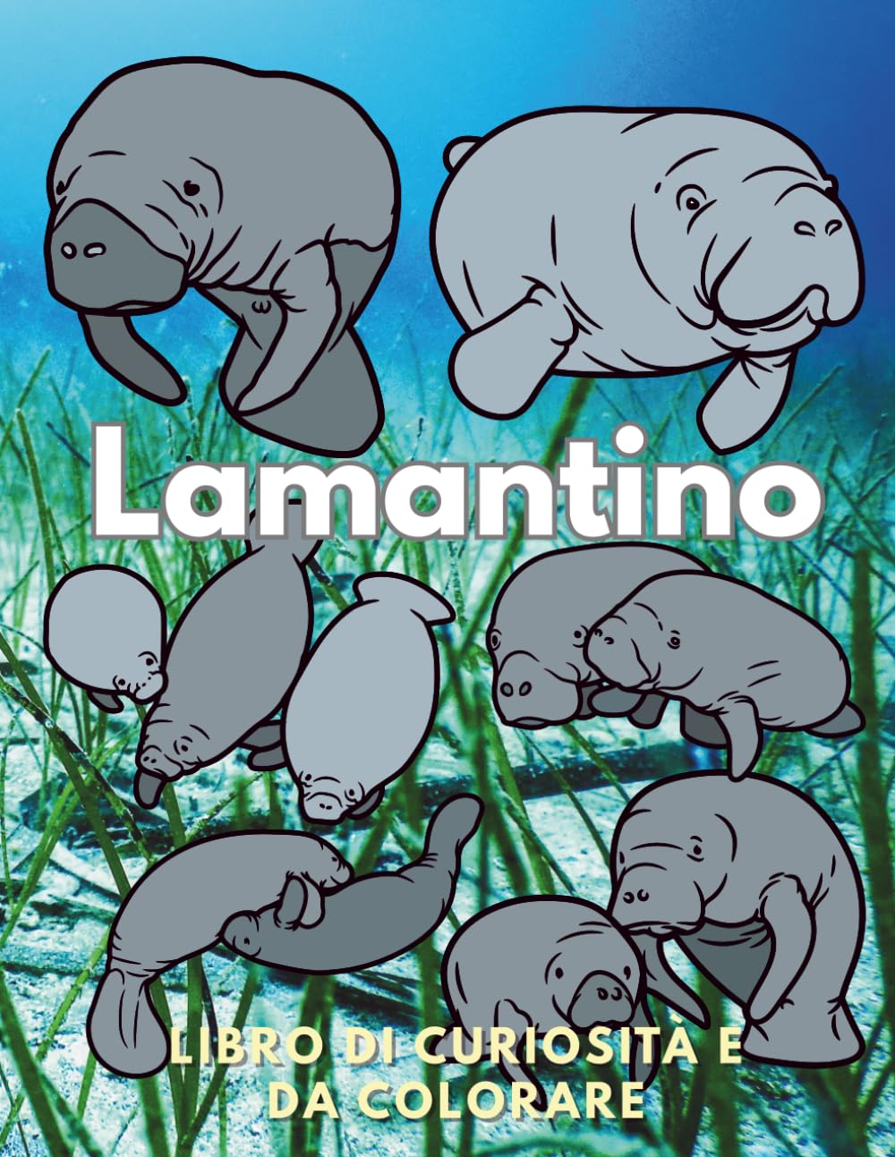 Lamantini: Fatti e Libro da Colorare: Libro di attività per bambini dai 2 ai 16 anni (Fatti sugli animali e colorazione)