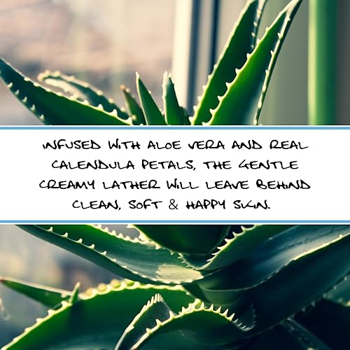 Miniatura 3 de Bluebyrd Soap Co. Jabón en barra de caléndula + aloe vera, sin fragancia, alivia la piel seca, picazón, agrietada e irritada, barra de jabón