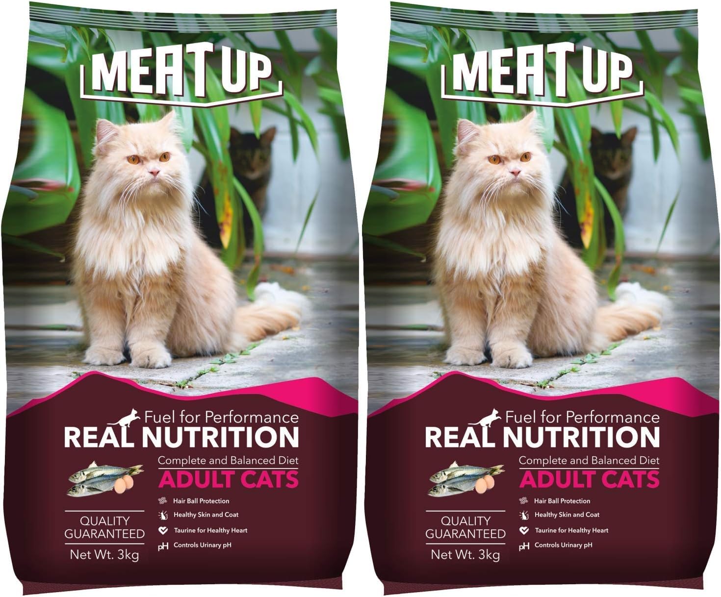 Meat Up Adult Dry Cat Food 3Kg + 3kg, Total 6Kg | Ocean Fish Flavour | Controls urinary pH | Taurine for Healthy Heart | Healthy Skin & Coat | Hair Ball Protection