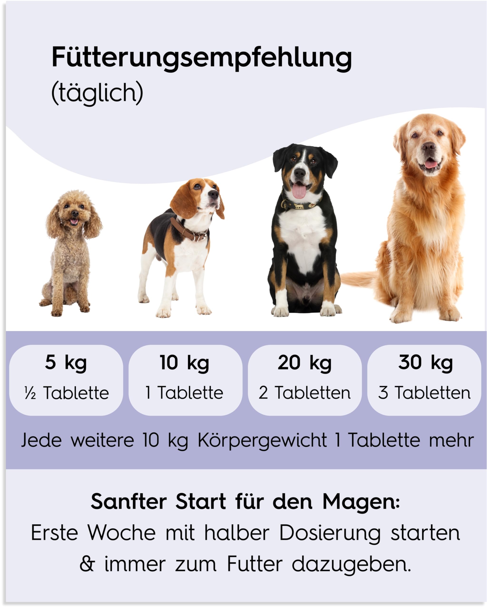 Lucky Pets Beruhigungstabletten für Hunde 150 Stück – Mit L-Tryptophan, Baldrian und Hanfsaat – Für Stress, Angst, Silvester und Reisen – Beruhigungsmittel für Hunde – Made in Germany