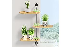 Rotating Plant Shelf for Indoor Plant Brightness and Atmospherics