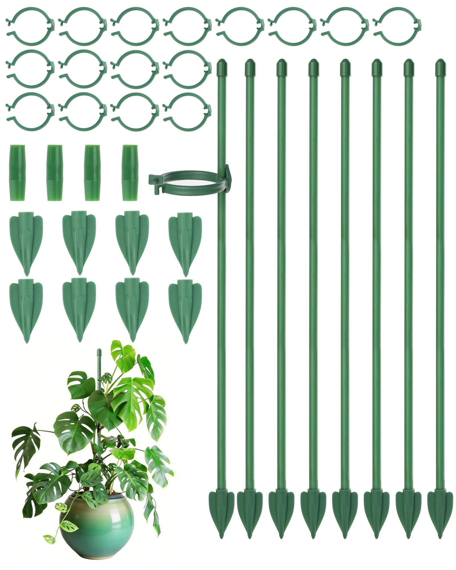 Acual 8 Pcs Plant Supports for Indoor Plants, 30cm Adjustable Plant Support Stakes with Clips, Fiberglass Plant Support Sticks for Monstera, Orchid, Climbing Plants, Home Garden