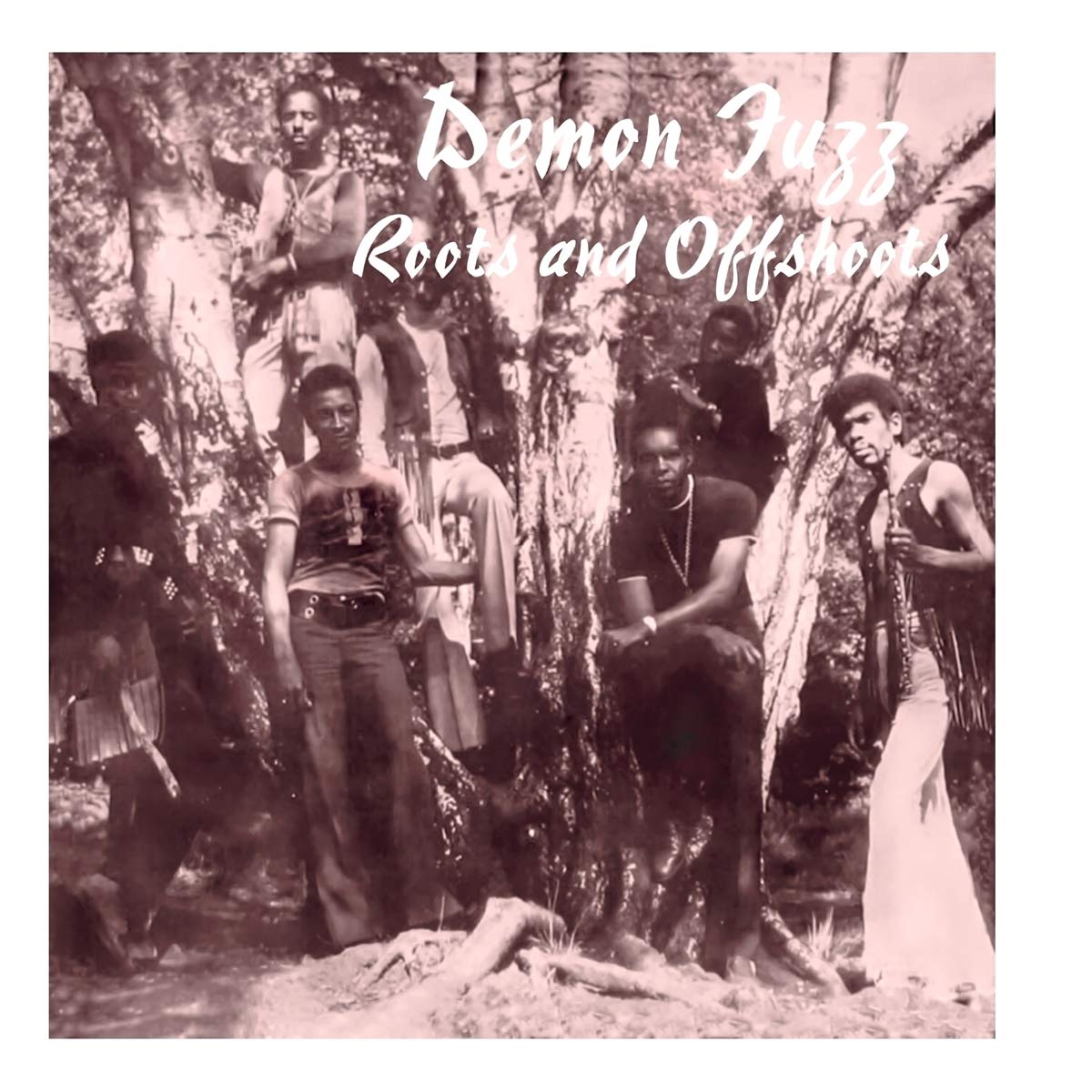 Demon Fuzz | Roots And Offshoots | Vinyl LP