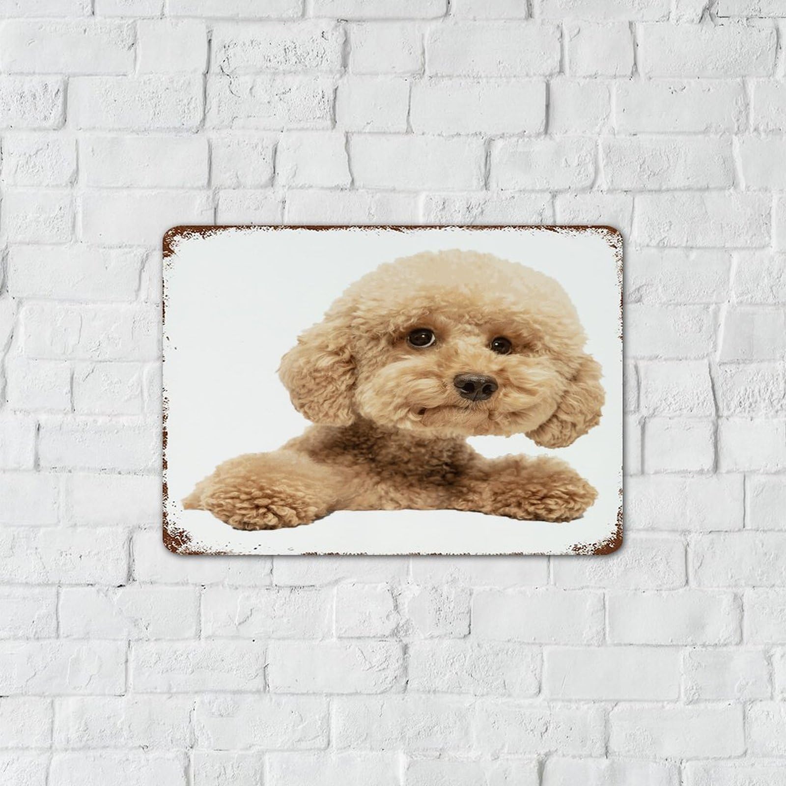 Targa In Alluminio Vintage Con Levriero E Scritta Are You Pooping? | Decorazione Divertente Per Bagno 30,5x20,3 Cm