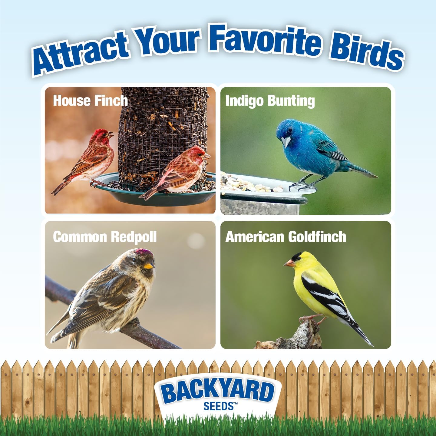Nyjer Thistle Seed for Finches 20lbs - Premium Nyjer Bird Seed for Outside Feeders, Large Bulk Bag of Wild Bird Food