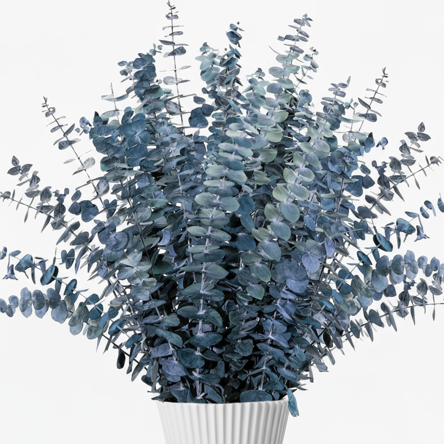 Glicrili 26 Stems Blue-Green Preserved Eucalyptus