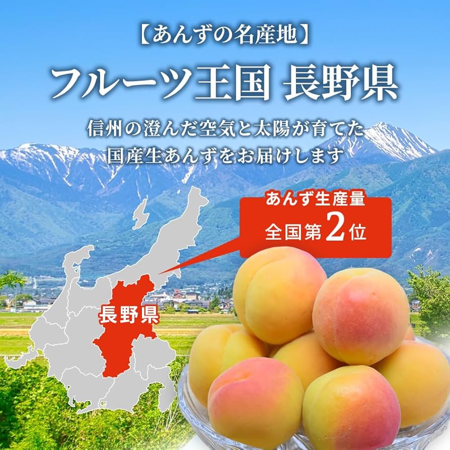 ★ピーチ★6kg　 信州産　あんずの里　あんず　アプリコット　生あんず あんず 青森県産 生食 送料無料 【青森県産 生あんず 家庭用2kg
