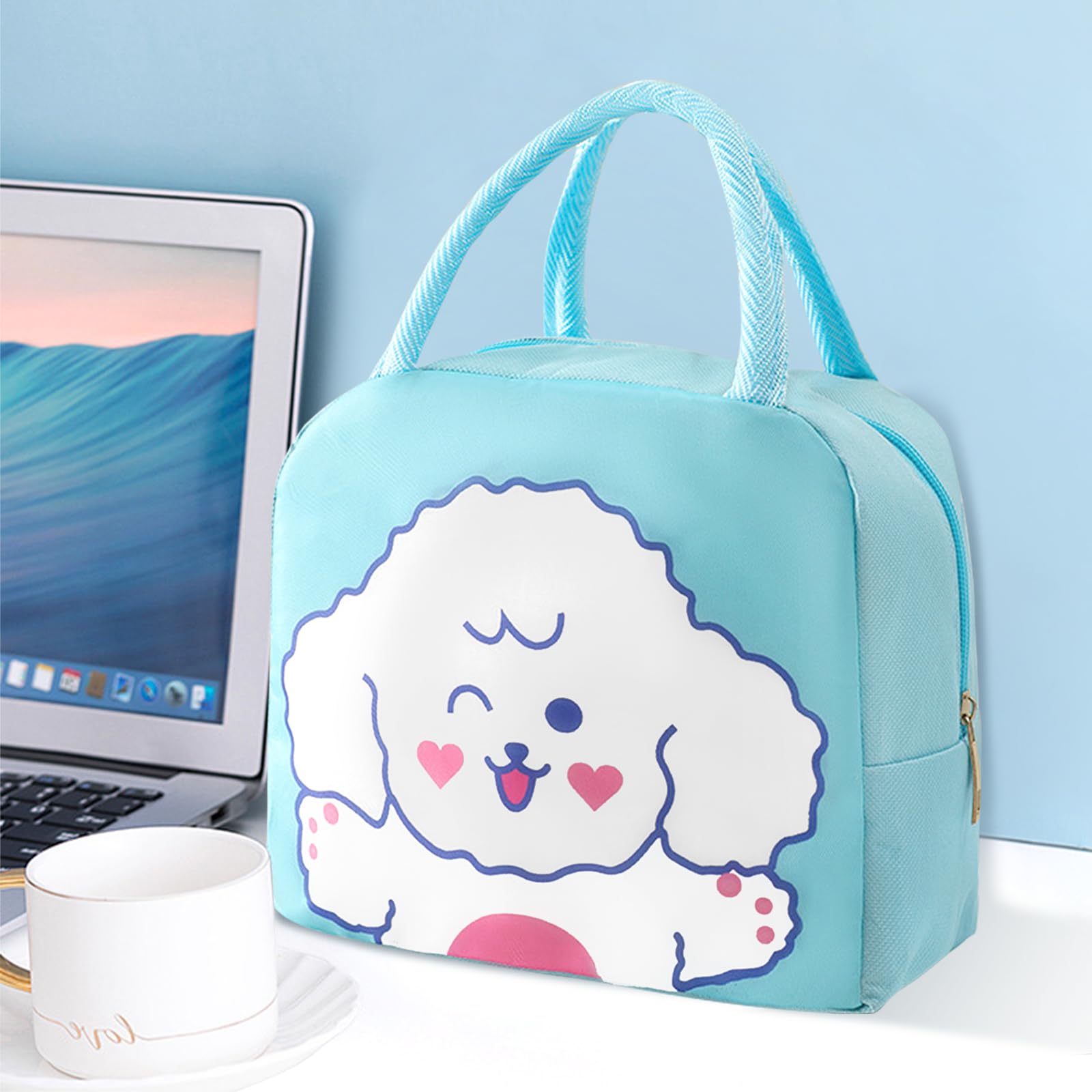 Lunch Bag Tote Lunch Cooler Bag Insulated Reusable Lunch Tote Portable Lunch Box Bags for Picnic Office Beach