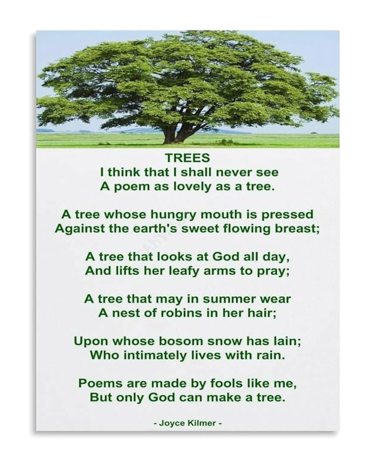 NWPNLXEA Ode to an Eternal Forest Poetry Art Poster on Canvas for Refined Study Library and Heritage Home Decor Framed,08x12inch(20x30cm)