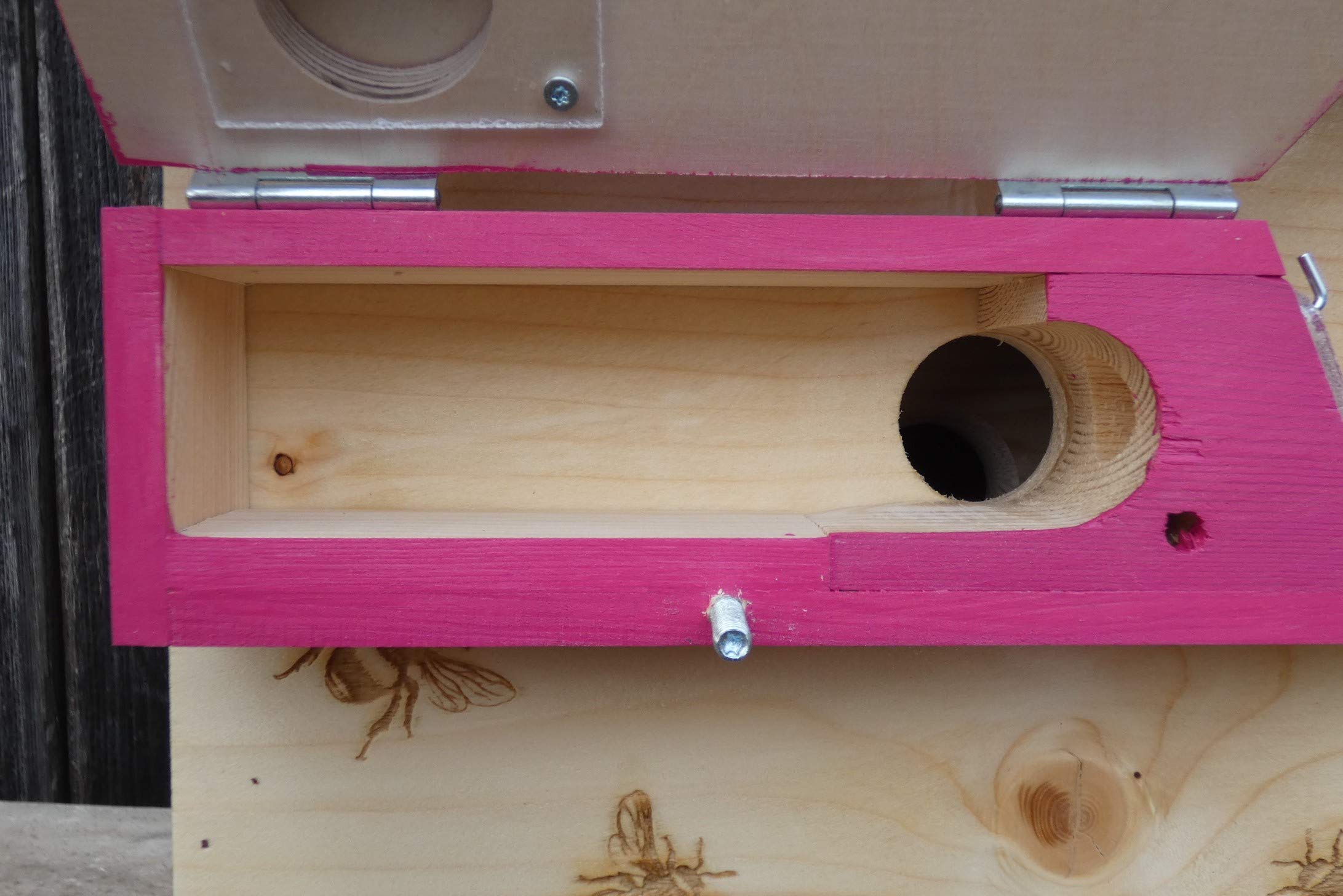 Profi XXXL Hummelkasten mit Wachsmottensperre und Zufütterung, 2X Sichtfenster und Nistmaterial geflammt oder Imprägniert Wetterfest Bienenhaus Hummelhaus Nistkasten Hummelvilla Bienen Insektenhaus