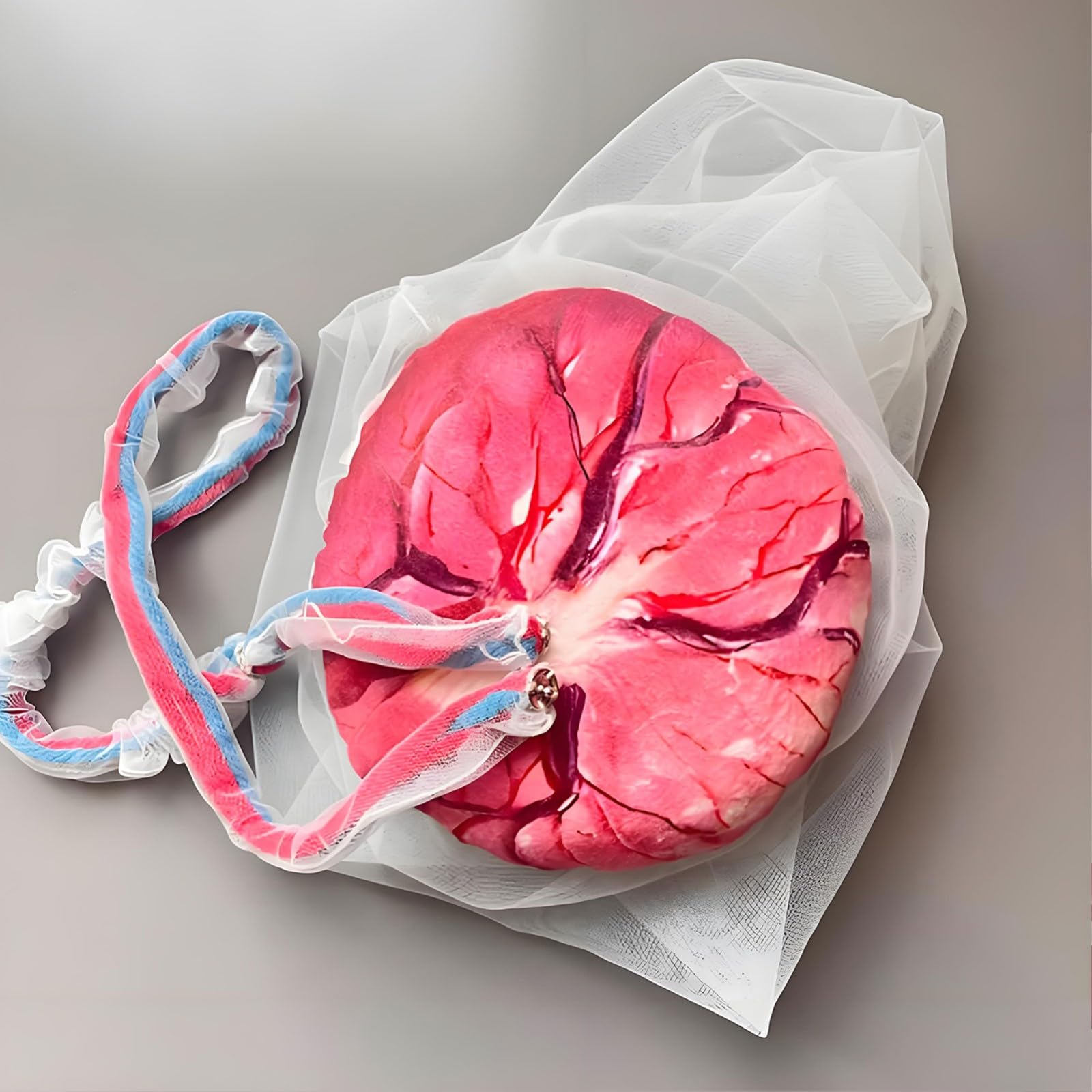 Modèle d'accouchement du bassin féminin, modèle pelvien de démonstration d'accouchement, simulateur d'accouchement du cordon ombilical/placenta pour étude, affichage, enseignement médical(A)