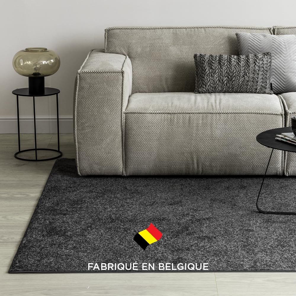 Tapis Carpet Studio Maine 80x250cm - Poil Court Doux | Gris Moderne | Pour Salon, Chambre, Cuisine