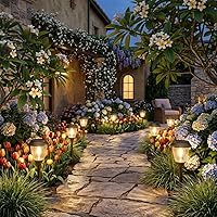 Vista 7 de XMCOSY+ Luces solares para caminos, paquete de 6 luces solares para exteriores, impermeables, encendido/apagado automático, 10-25 lúmenes, vidrio