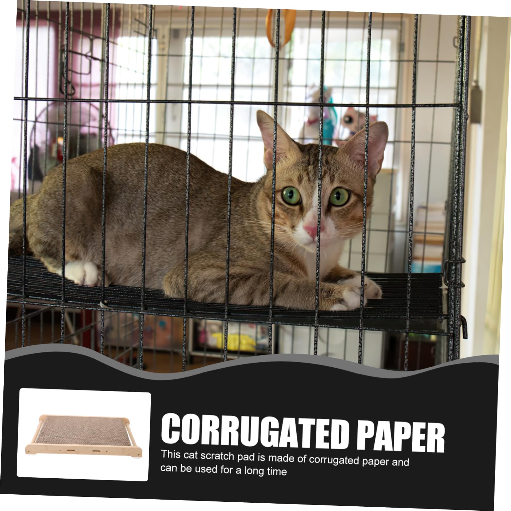 COLLBATH Katzenkratzbrett Mit Kratzmatte Und Haustierunterlage Robustes Katzenzubehör Indoor Für Möbelschutz