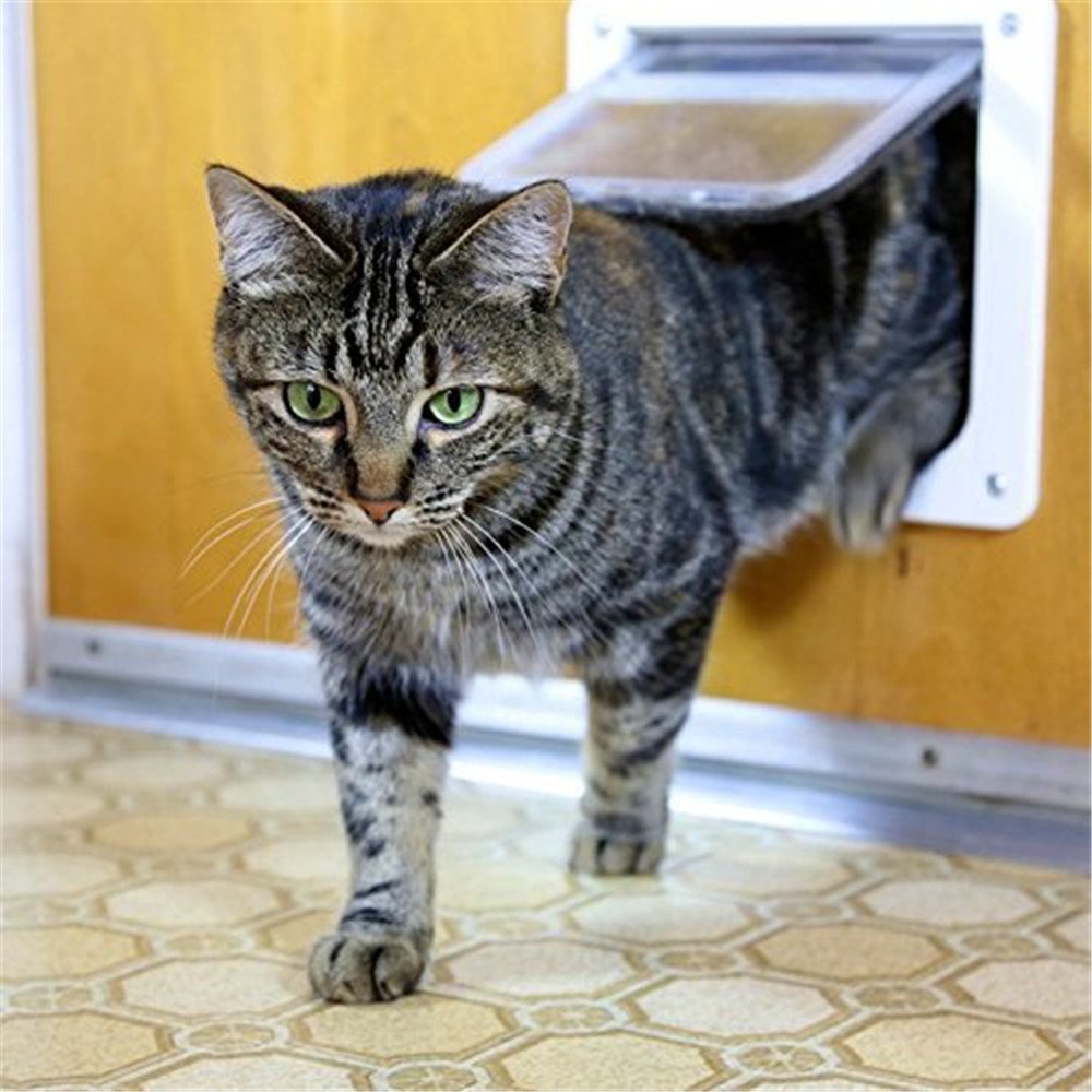 Amazon.co.jp: AYY ペットドア 室内用キャットドア 犬猫/ペット