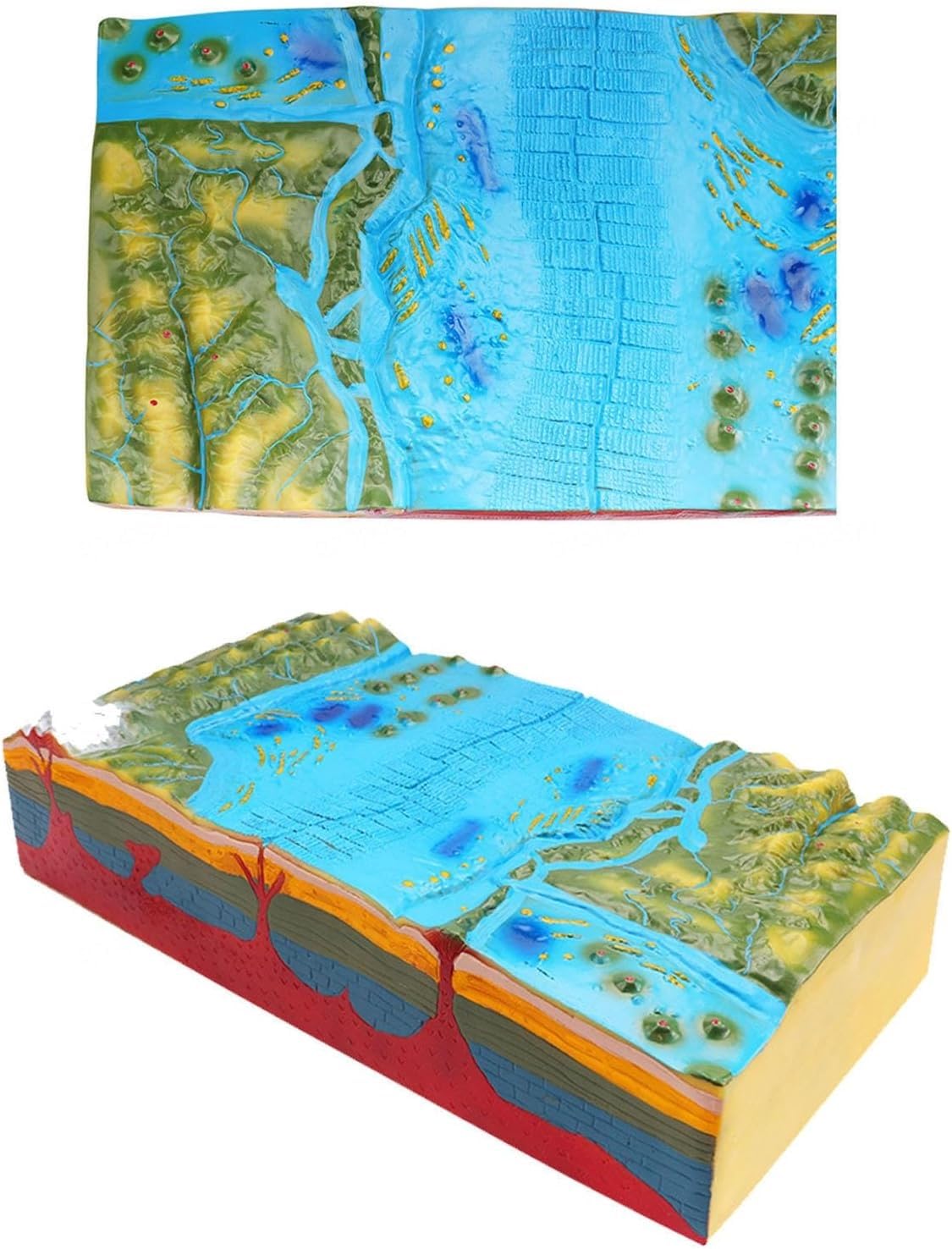 Modello geomorfologico e tettonica delle placche, modello didattico sulla struttura delle placche e sulla morfologia superficiale, for la dimostrazione della geografia nelle scuole medie