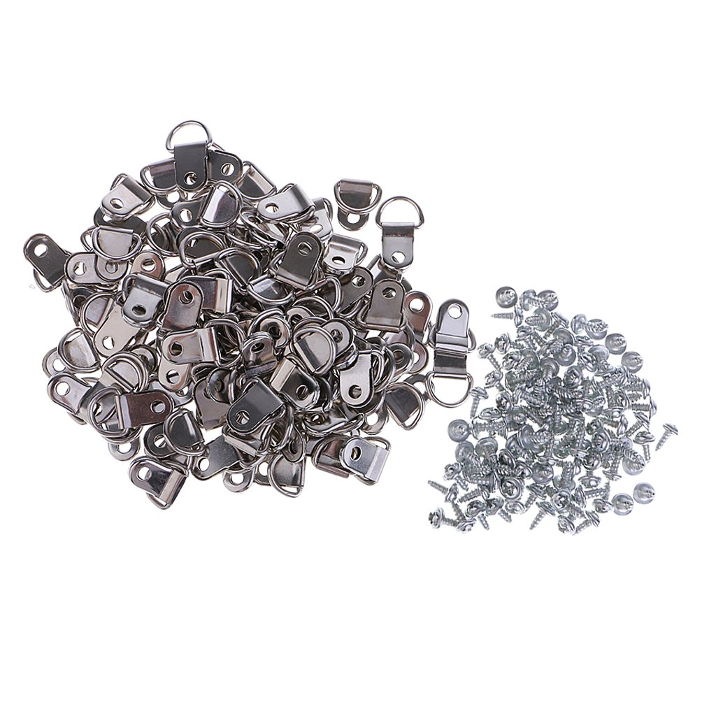 Pleayietoopiatiey 100 Pcs Small Single Hole D Ring Picture/Photo Frame Hangers With Screws