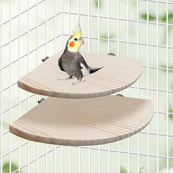 Bird Perch Stand Platform, 11.8 11.8 Inch Natural Wooden Small Animals Cage Shelf, Cage Accessories for Parrots Parakeets Cockatiels Rats Hamster Guinea Pig Conure Chinchillas