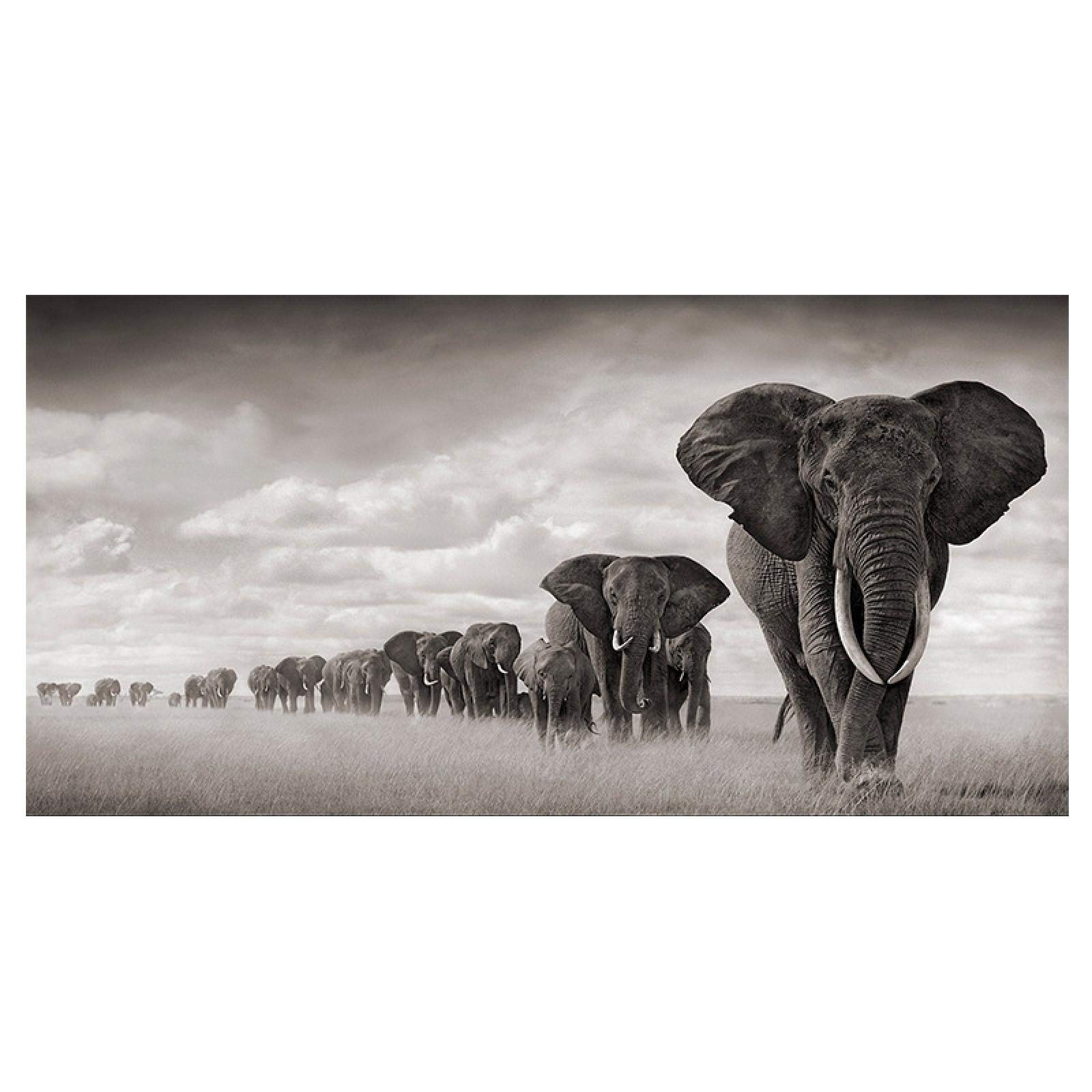 Naturaleza animal salvaje elefante lienzo pintura carteles impresiones arte de la pared imágenes para la sala de niños decoración del hogar 40x80 cm marco interno