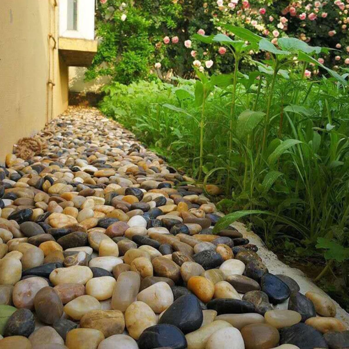 Mipcase 3er Packungen Kieselsteine für Pflanzgefäße Naturstein Rund 3 Beutel für Aquarium und Blumentopf Geeignet für Blumenarrangements und Gehwege