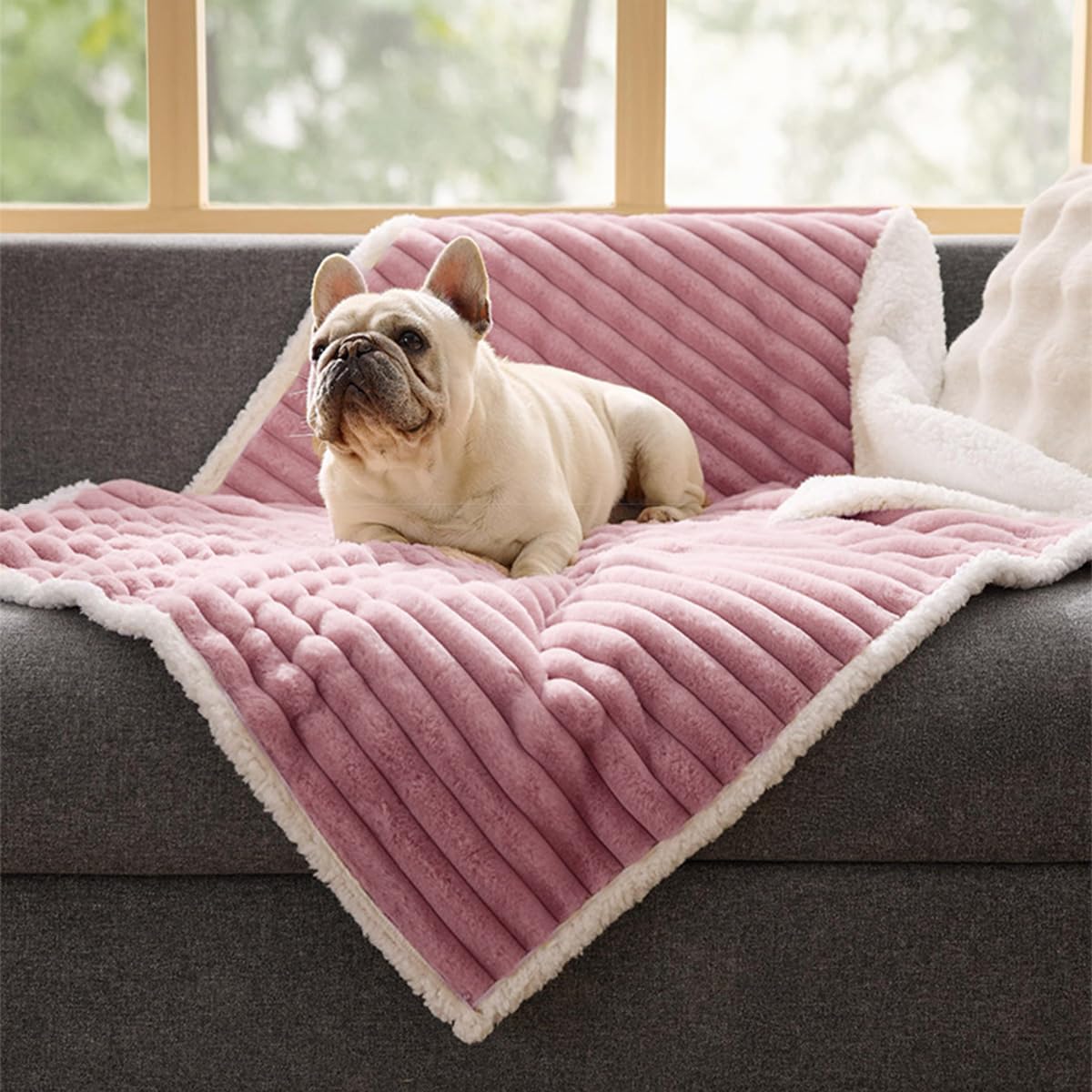 Couverture imperméable en polaire sherpa lavable pour animal de compagnie de taille moyenne et grande pour canapé, lit et protection de siège de voiture - Jeté en peluche douce pour chiot et chaton